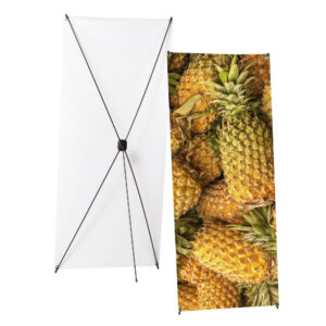 Expositor X-Banner 60 × 160 cm